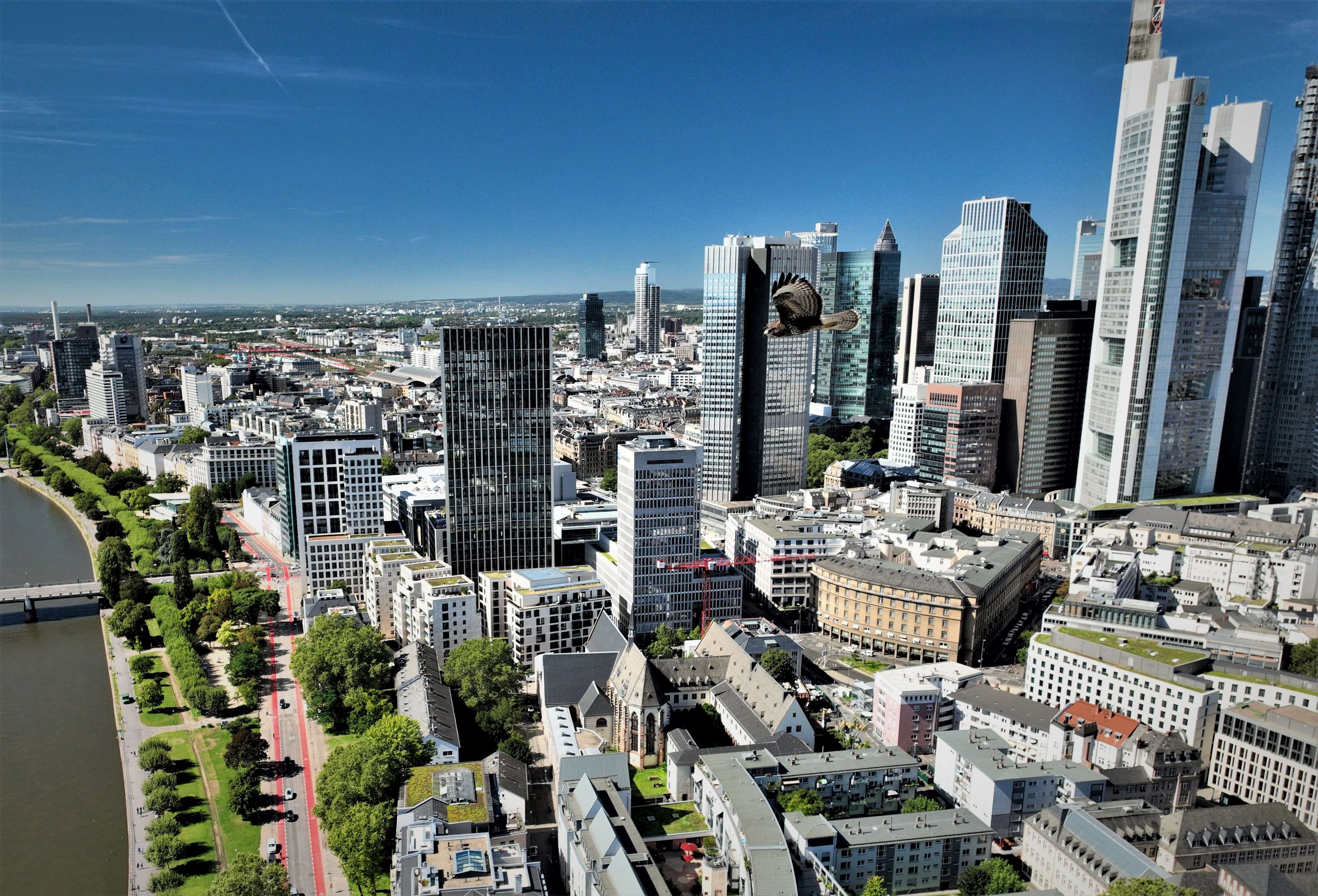 Luftbild Inspektion Adler Bussard Frankfurt am Main Skyline  Preis Bauvisualisierung Kosten Drohnendienstleistung